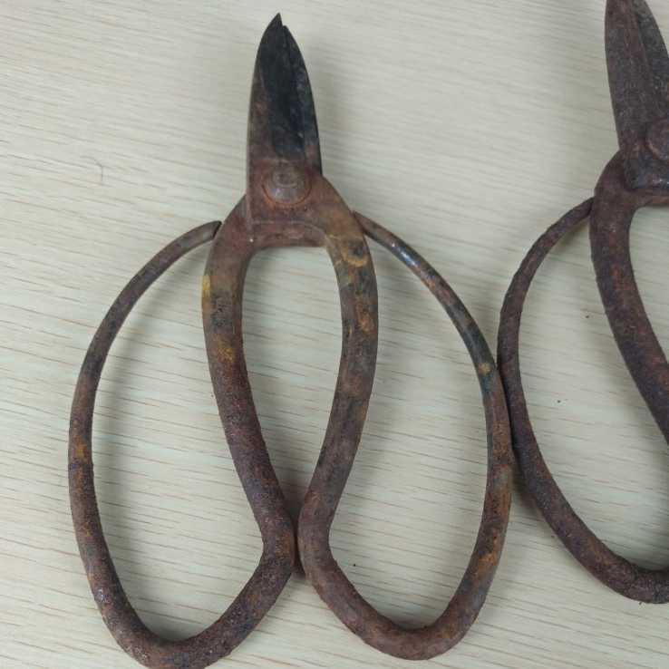 # pruning .4 piece set old tool scissors . plant . tongs gardening structure . garden Showa Retro rust etc. equipped used interior present condition #139