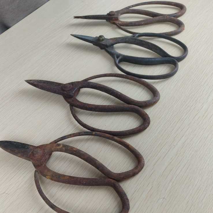 # pruning .4 piece set old tool scissors . plant . tongs gardening structure . garden Showa Retro rust etc. equipped used interior present condition #139
