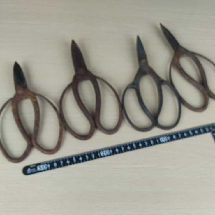 # pruning .4 piece set old tool scissors . plant . tongs gardening structure . garden Showa Retro rust etc. equipped used interior present condition #139