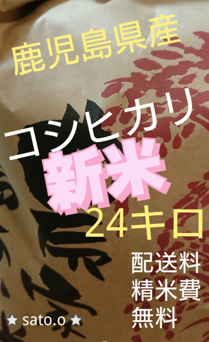 コシヒカリ24キロ☆お米☆新米☆米61 | mercedariasmisionerasperu.org