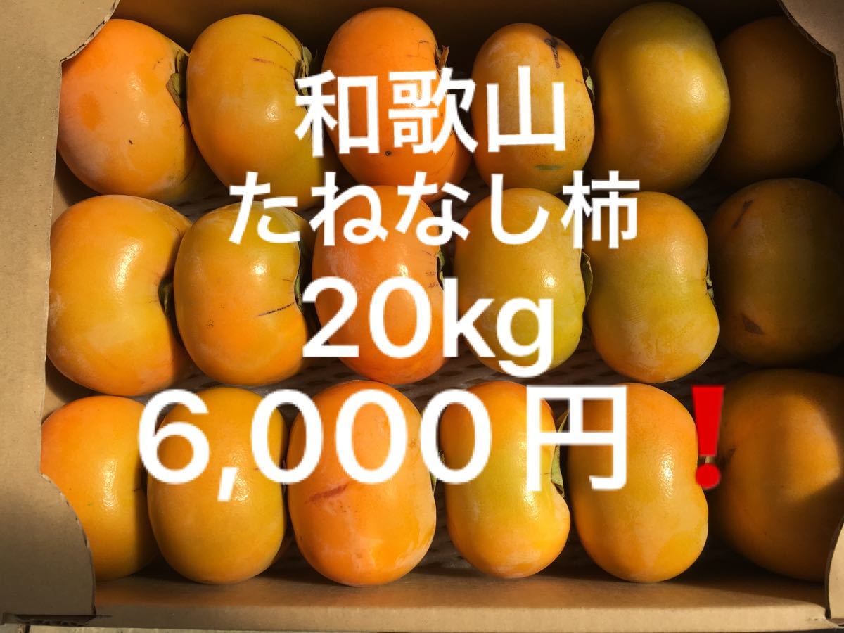 たねなし柿 通販 ふるさと納税 和歌山の平たねなし柿 約7.5kg(ご家庭用) ※2023年10月上旬〜下旬頃に順次発送予定 ※沖縄地域へのお.. 和歌山県美浜町