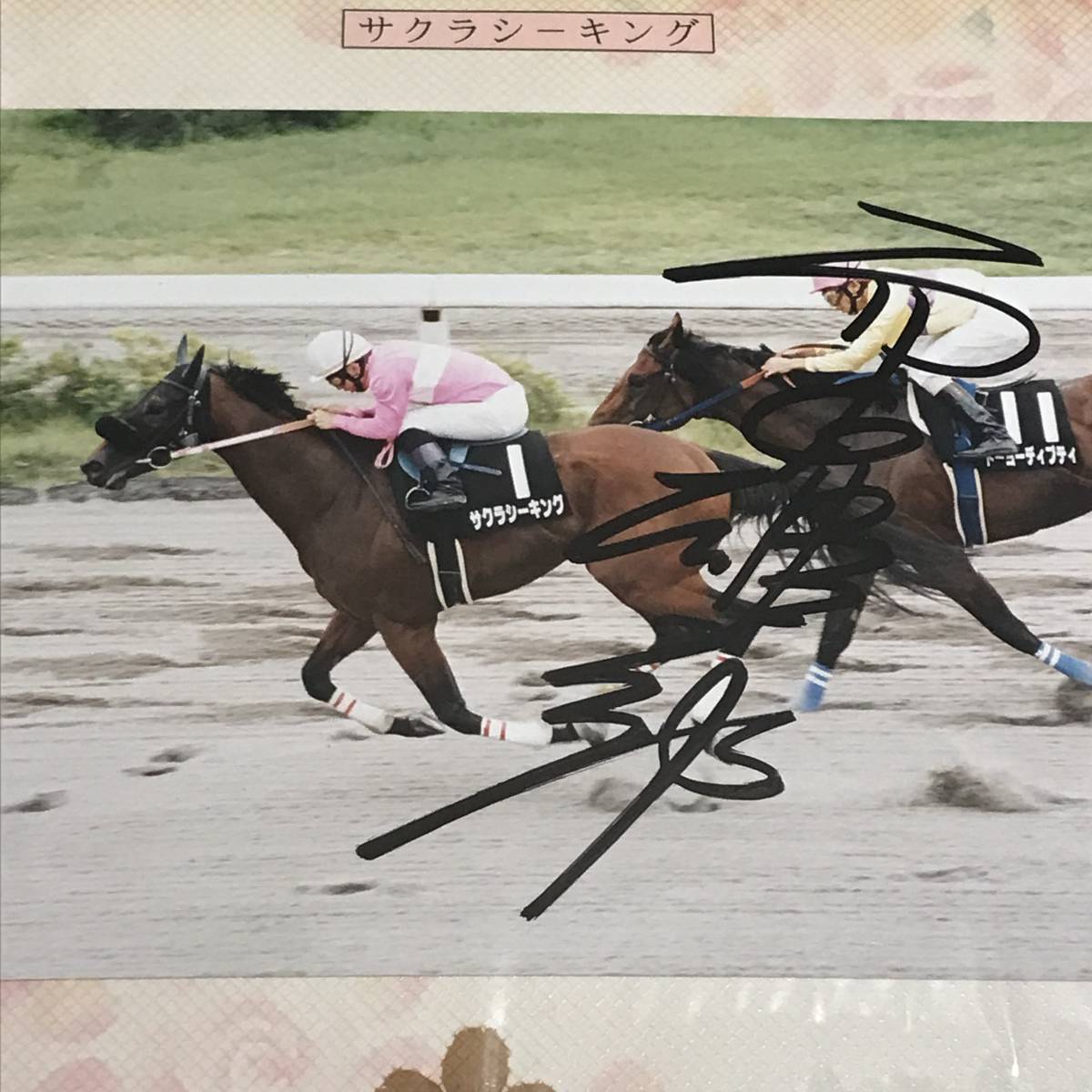  west rice field male one .. hand with autograph Sakura SeaKing goal front photograph Kashiwa cape special (1997.7.26)