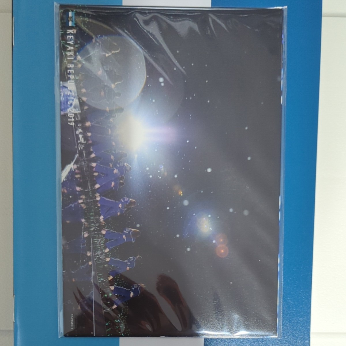 欅共和国2019 (初回生産限定盤) (DVD) 欅坂46 櫻坂46 けやき坂46 日向坂46 