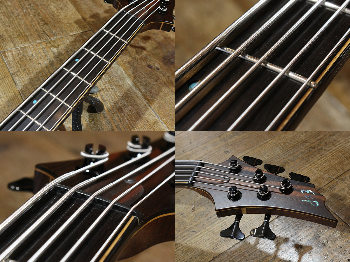 ESP FOREST-STD-SL5 Exotic Wood 2015 | psychiatriefes.org