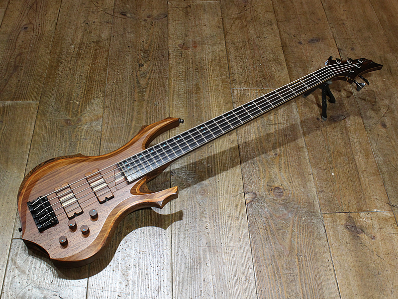 ESP FOREST-STD-SL5 Exotic Wood 2015 | psychiatriefes.org