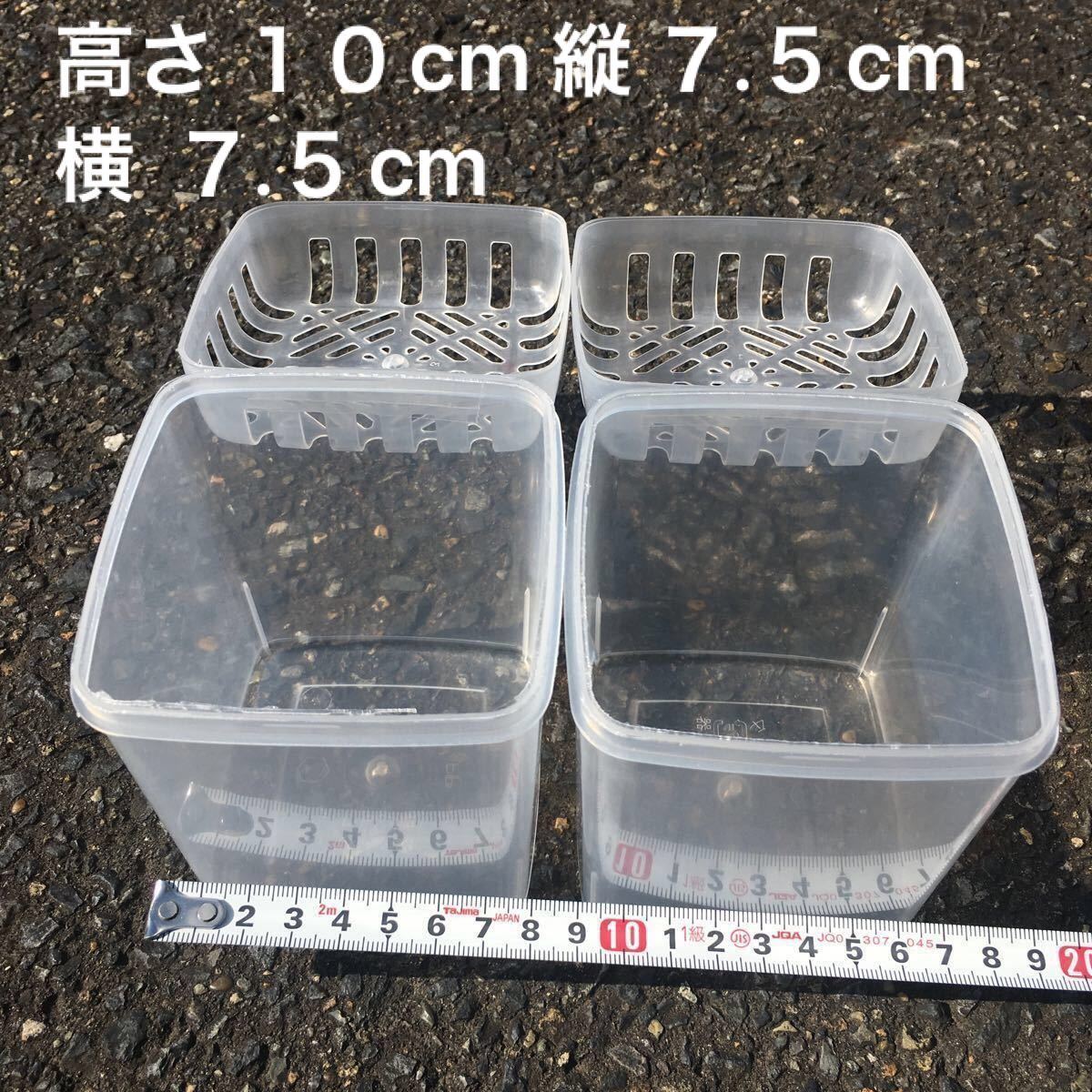 超小型 隔離箱●水鉢 プラスチック容器 金魚鉢 アクアリウム 水槽 小分け 観賞魚 メダカ鉢 熱帯魚 ポット ベタ 観葉植物 蓋付