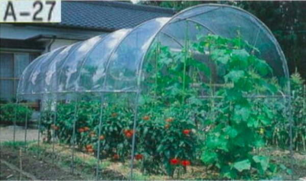  super-discount * used .. no new goods!! vegetable ... seedling flower greenhouse plastic greenhouse .. agriculture medium sized cheap roof canopy rain measures . sale charge [.. house ]