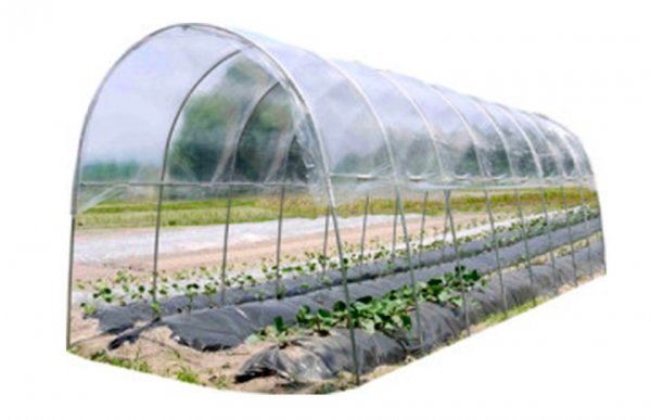  super-discount * used .. no new goods!! vegetable ... seedling flower greenhouse plastic greenhouse .. agriculture medium sized cheap roof canopy rain measures . sale charge [.. house ]