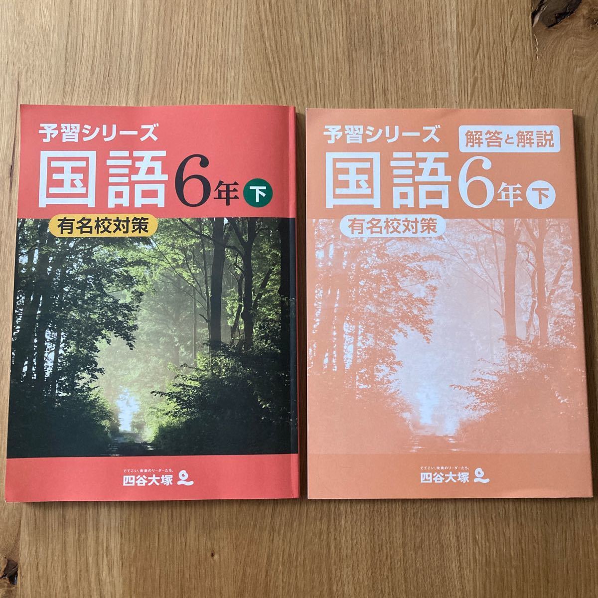 四谷大塚予習シリーズ 予習シリーズ　有名校対策　6年　下　国語　解答　解説　四谷大塚 問題集　演習問題 中学受験