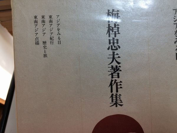 ●P207●アジアをみる目●梅棹忠夫著作集●6●梅棹忠夫●東南アジア紀行歴史と旅点描●中央公論社●定価6200円●即決_画像6