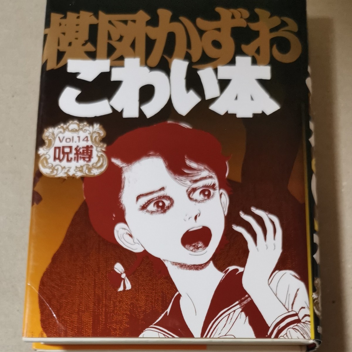 ■楳図かずおこわい本 Vol.14 愛蔵版 (愛蔵版 楳図かずおこわい本 14) 楳図かずお/著■中古■100