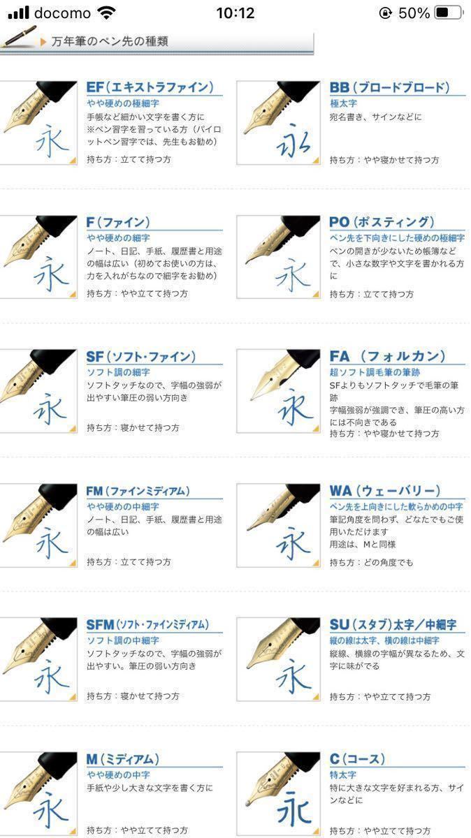 PILOT GRANCE Amethyst 万年筆 字幅M www.thesciencebasement.org