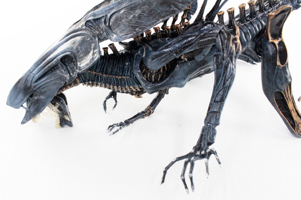 Yahoo!オークション - NECA ネカ エイリアンクイーン フィギュア Yahoo!オークション - NECA ネカ エイリアンクイーン フィギュア