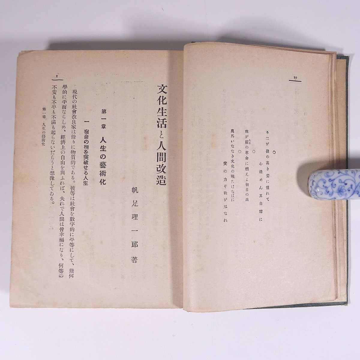 文化生活と人間改造 帆足理一郎 博文館 大正一一年 1922 古書 単行本 裸本 哲学 思想 人生の芸術化 個人主義より社会奉仕主義へ ほか_画像7