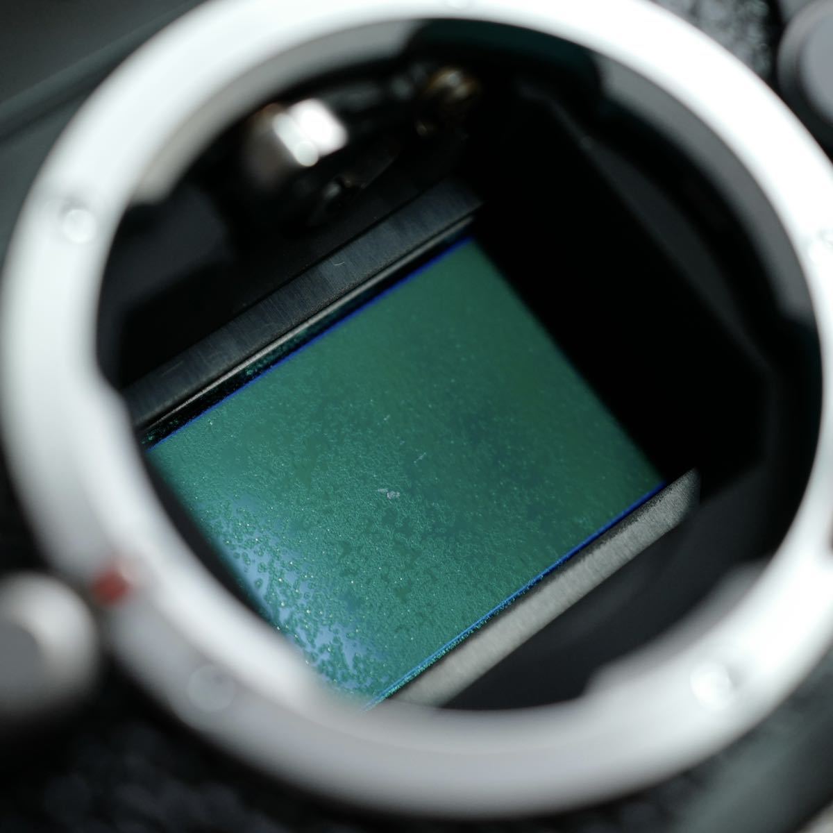 ライカ Leica M9 M9-P M-E typ220 Mモノクローム CCDセンサー 剥離修理 カバーガラス 交換部品