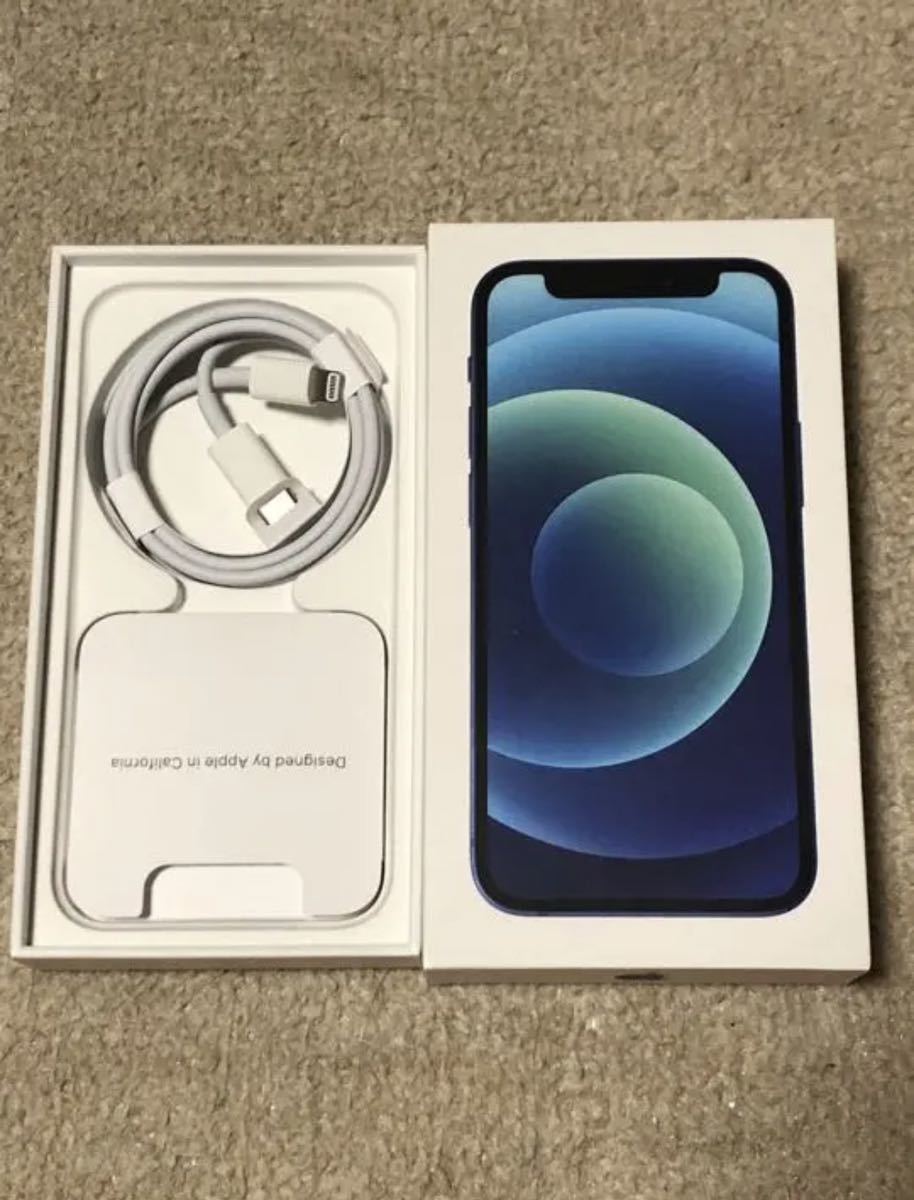iPhone 12 mini ブルー 64 GB SIMフリー【ジャンク品】 equaljustice