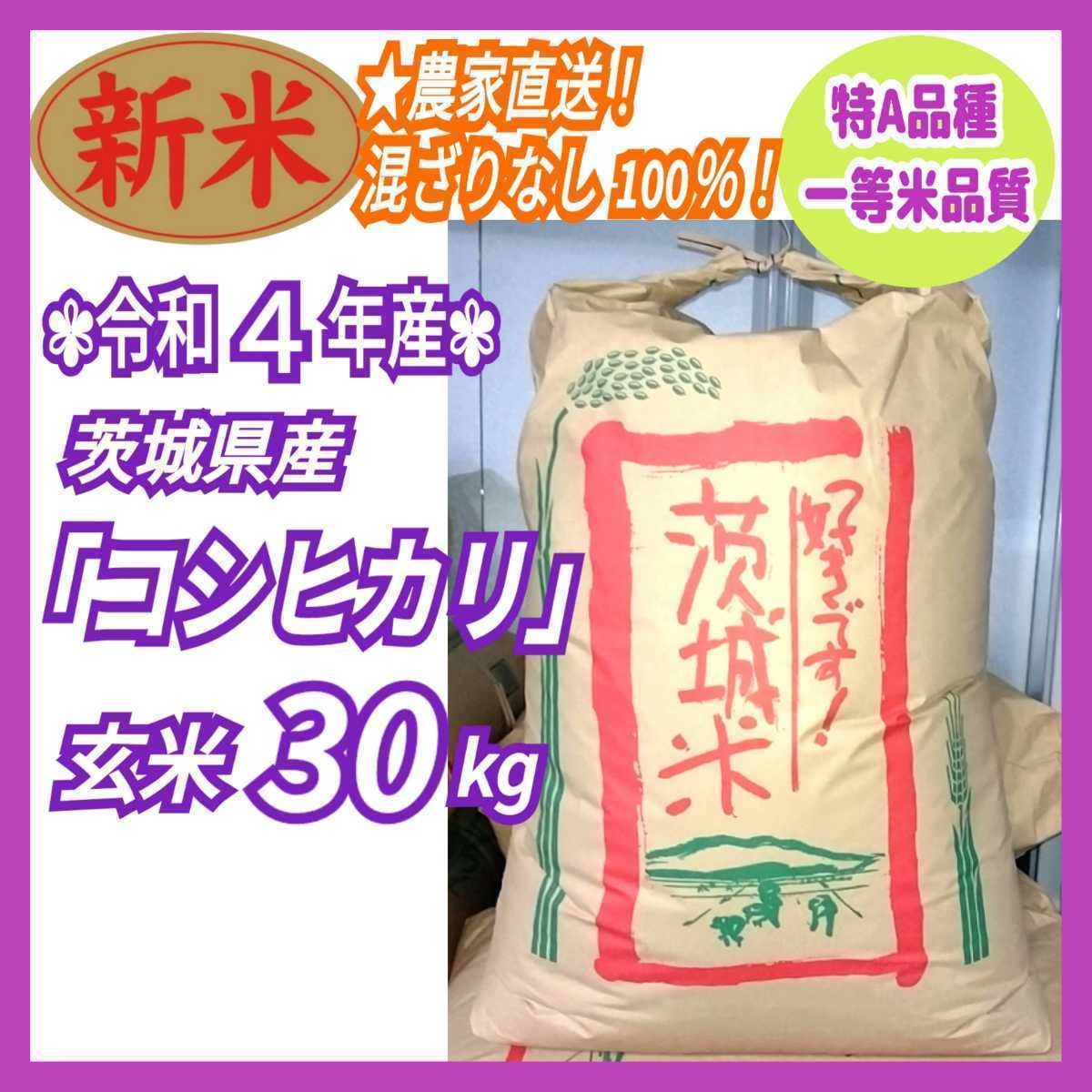 令和4年 茨城県産 新米 コシヒカリ 特A 一等米 玄米 30Kg 30キロ 農家