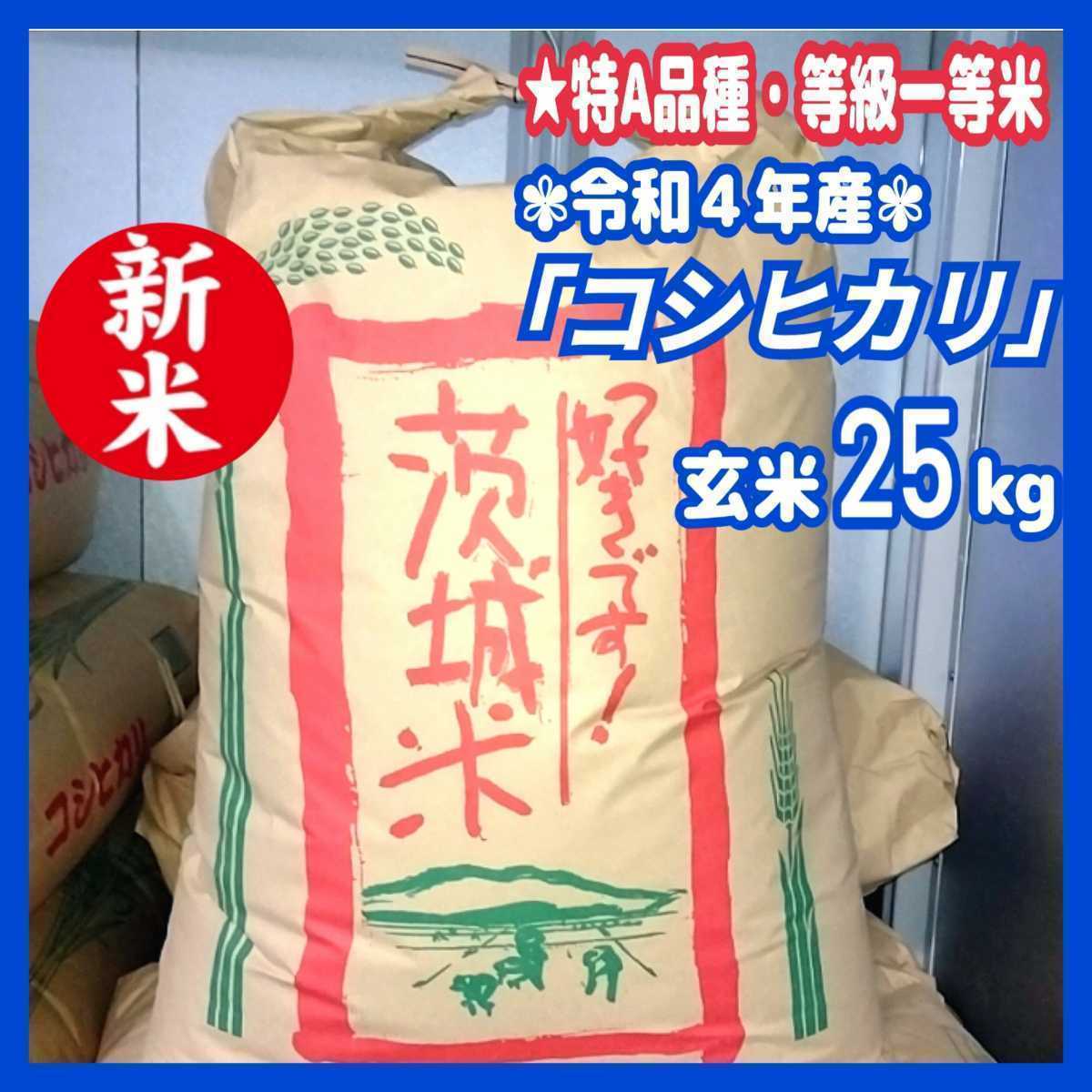 直営店 送料込 令和4年度産 茨城県産 コシヒカリ 玄米 30キロ 農家直送
