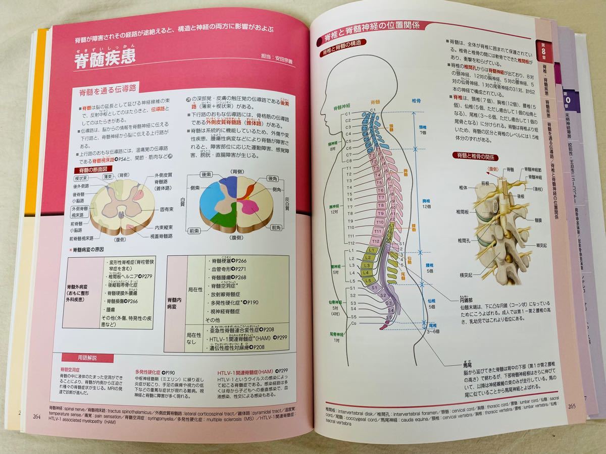 全部見える脳・神経疾患