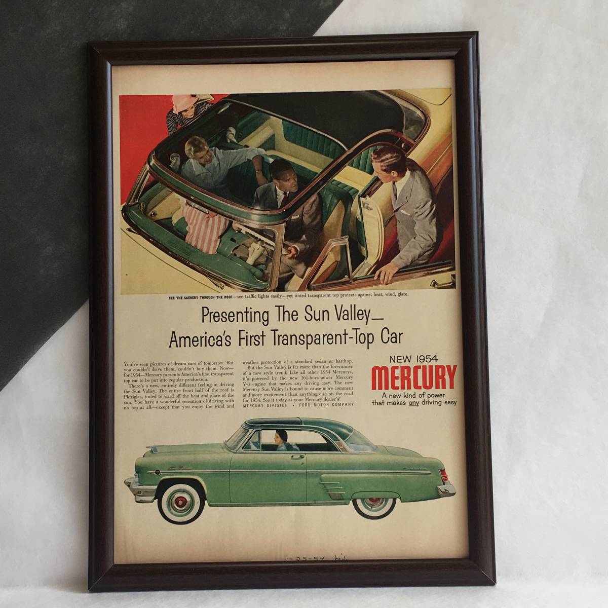 超熱 カーネーション 1950年代 アメリカ ヴィンテージ 雑誌 広告 ポスター