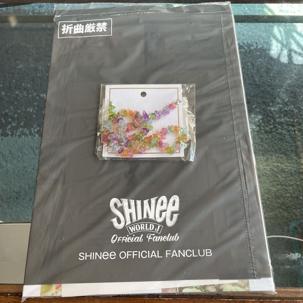 SHINee WORLD seek ファンクラブ 会報 20 Vol.20 未開封　ジョンヒョン オニュキー　ミンホ　テミン_画像1