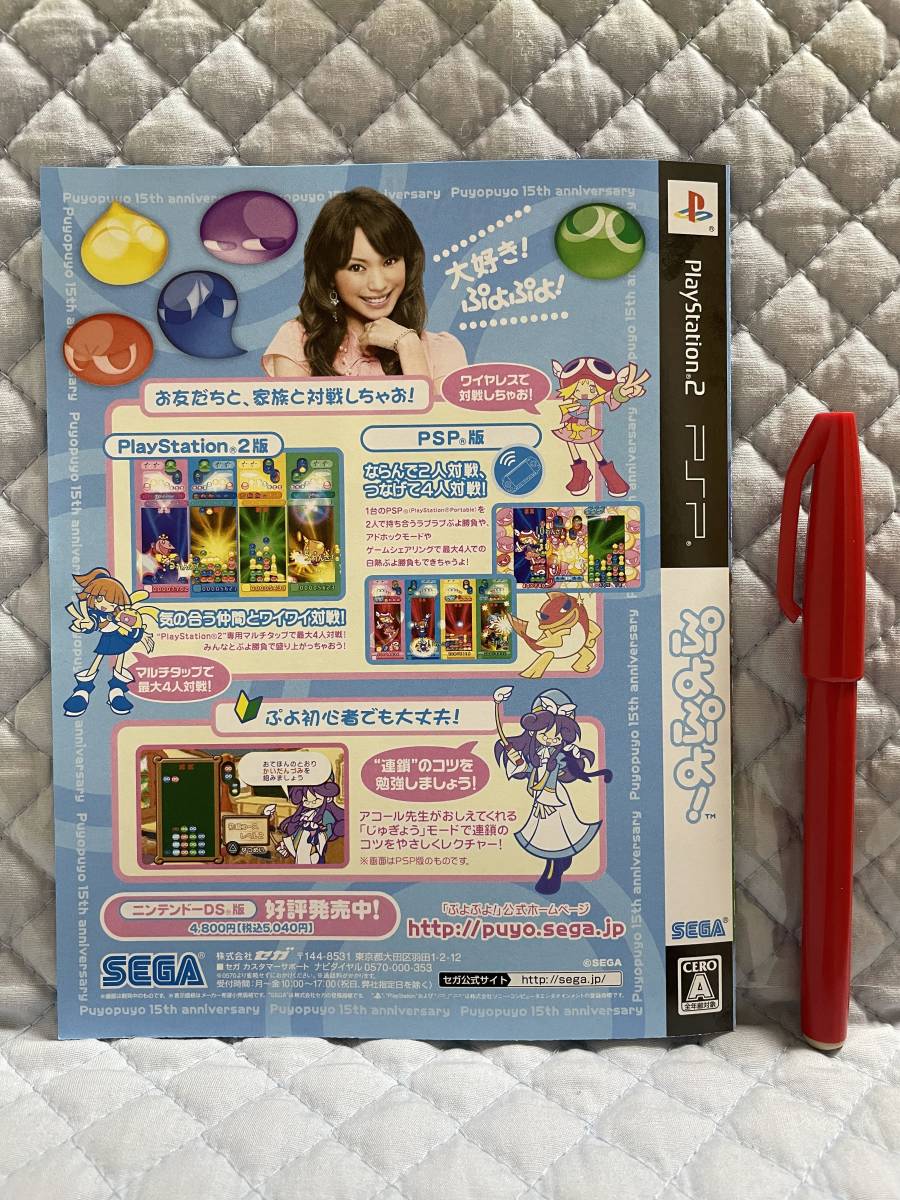 PS2ダミージャケット風(fēng)チラシ 裏