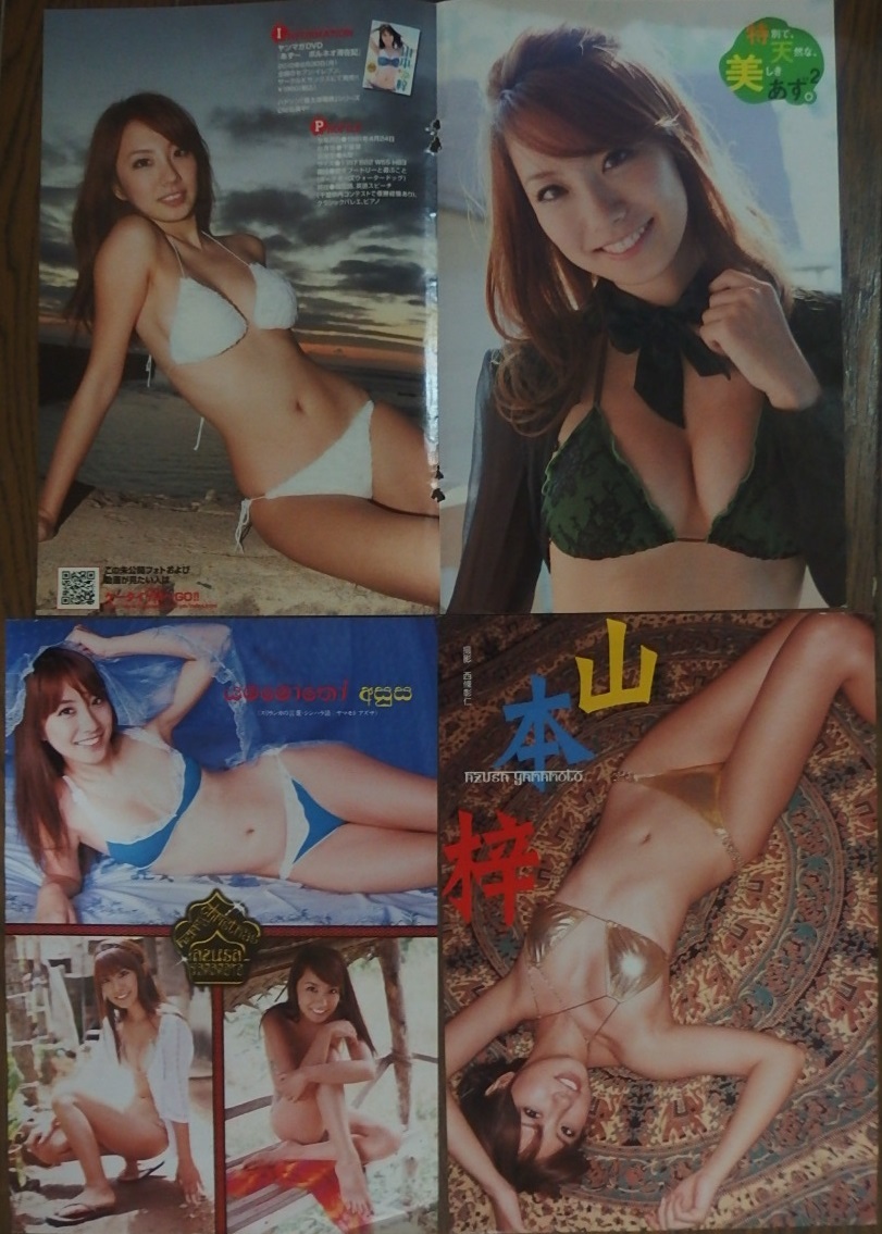  Yamamoto . magazine cut pulling out 37 page + DVD label 1 sheets 