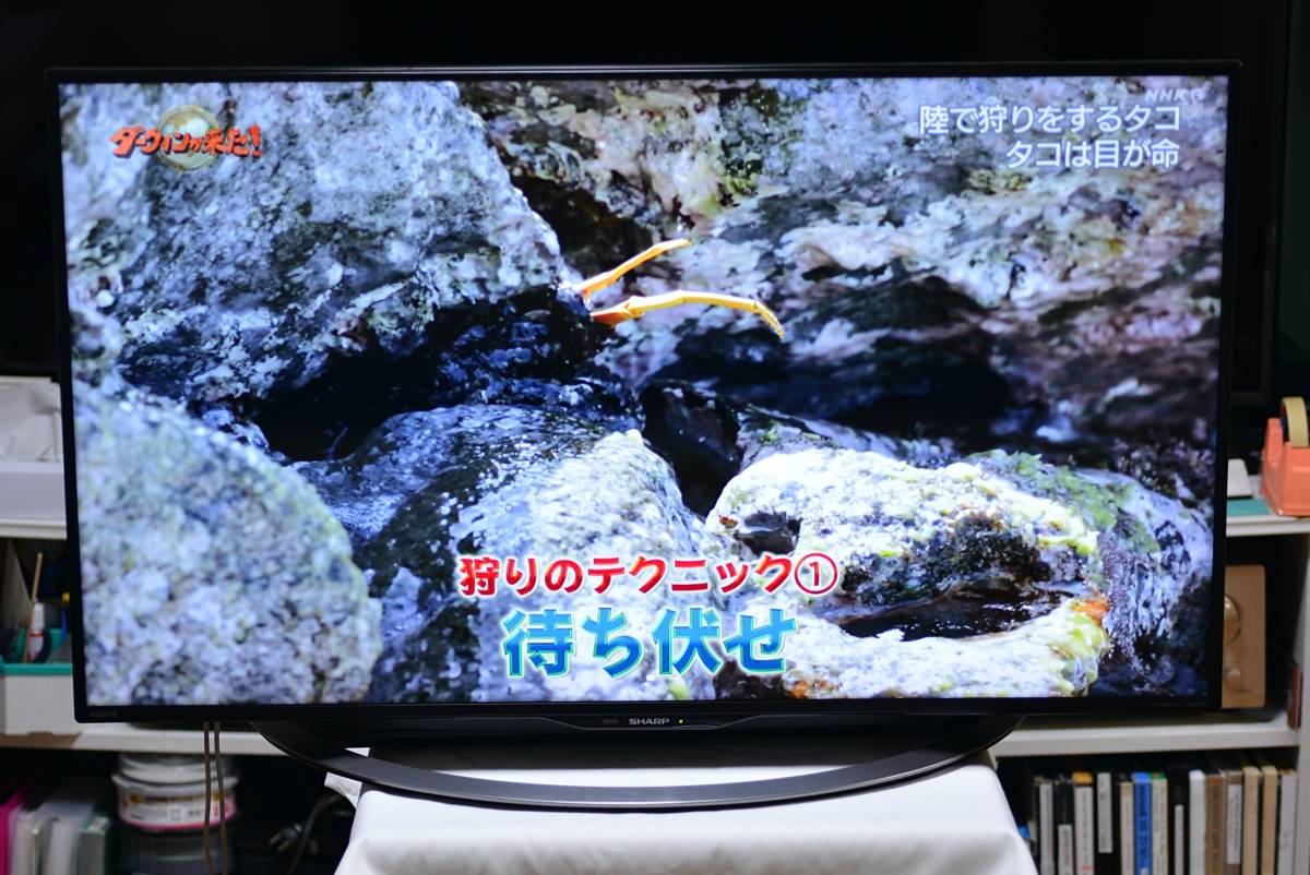 引き】シャープ 液晶テレビ 40型 2017年製-