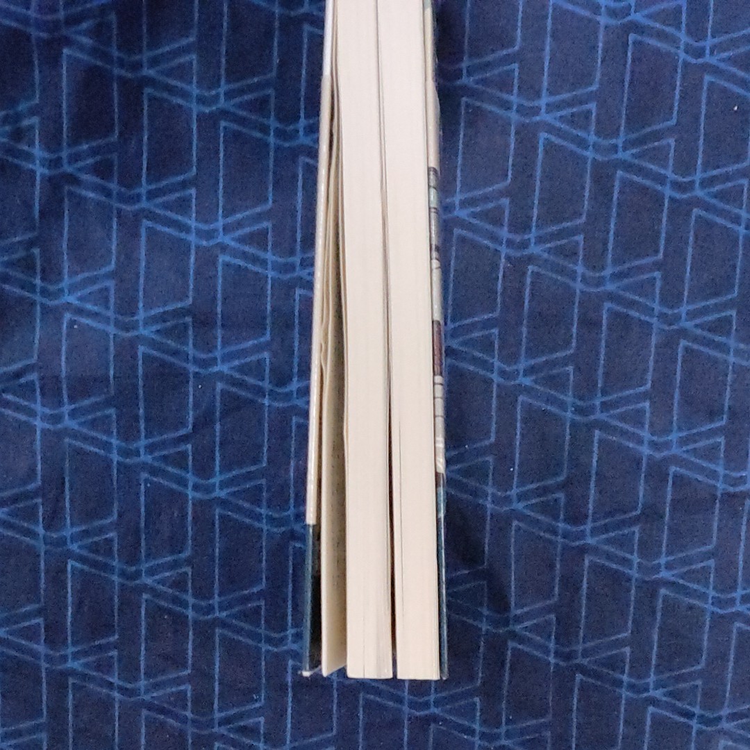 貯金兄弟 （ＰＨＰ文庫　た８２－５） 竹内謙礼／著　青木寿幸／著