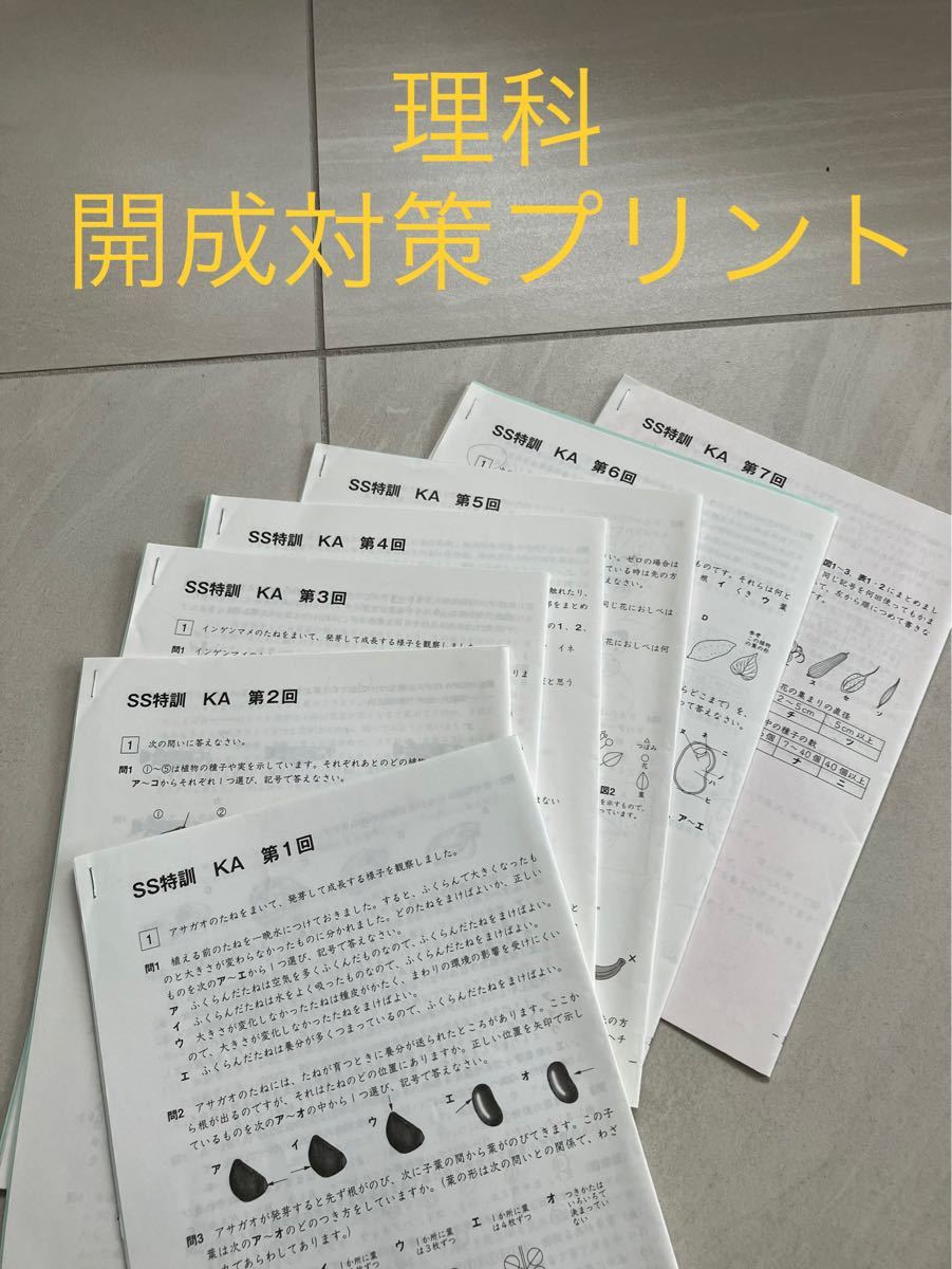 サピックス ＳＳ特訓６年算数開成対策プリント全４９回２０２１年