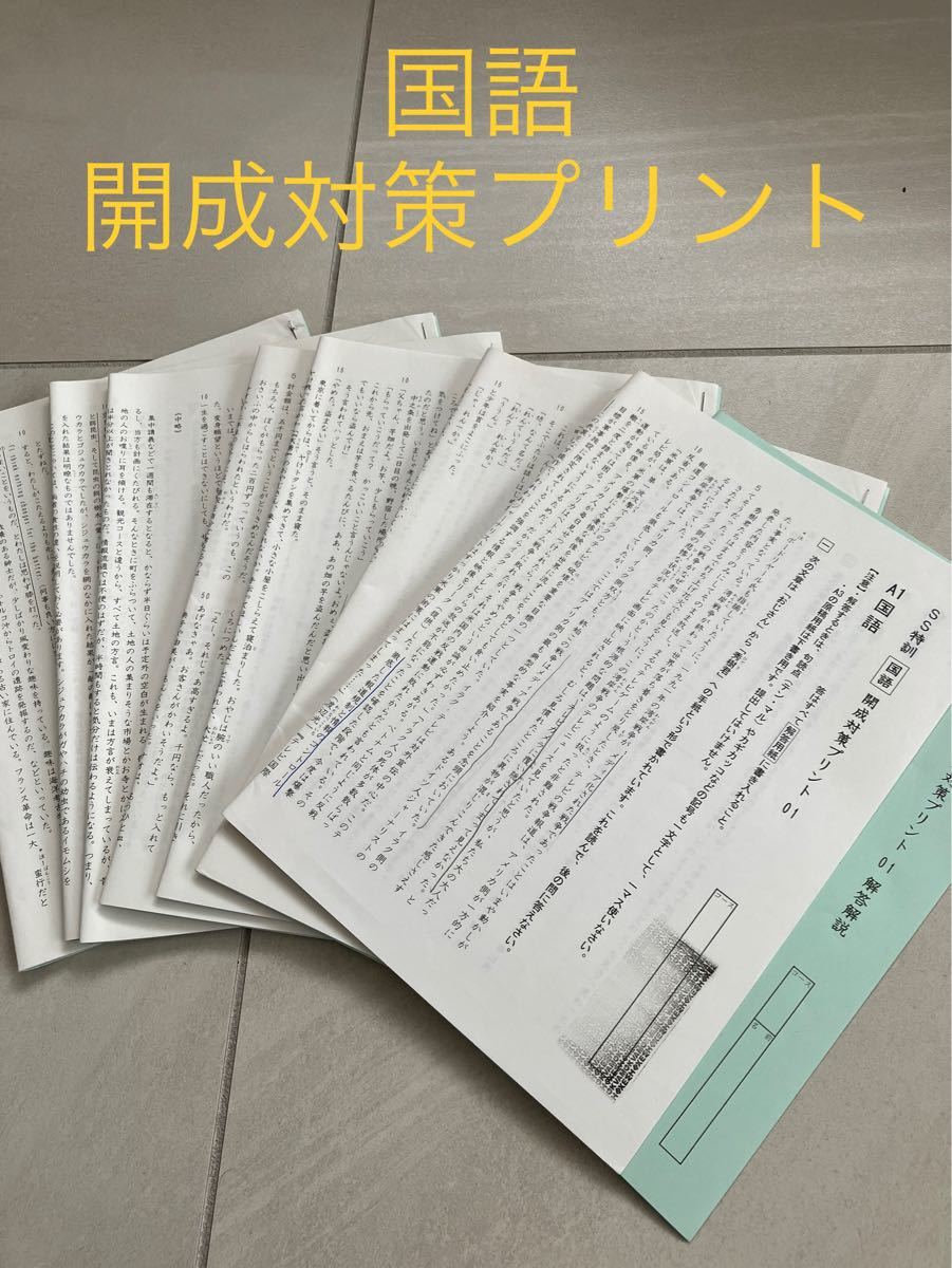 サピックス SS開成コース SSKAプリント 4教科|Yahoo!フリマ(旧 サピックス SS開成コース SSKAプリント 4教科|Yahoo!フリマ(旧