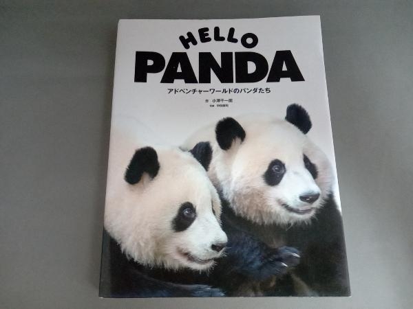 HELLO PANDA 小澤千一朗_画像1