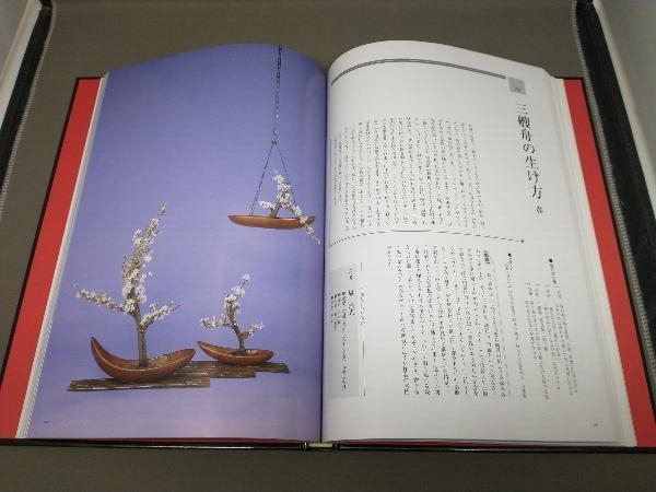 花伝 長井理一と花の旅人作品集Ⅲ