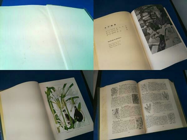 .. New Japan plant illustrated reference book north . pavilion 