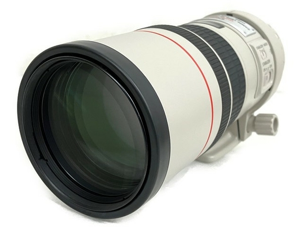 Canon EF300mm F4L USM 単焦点望遠レンズ 良好 T6814133 | sweatreno.com