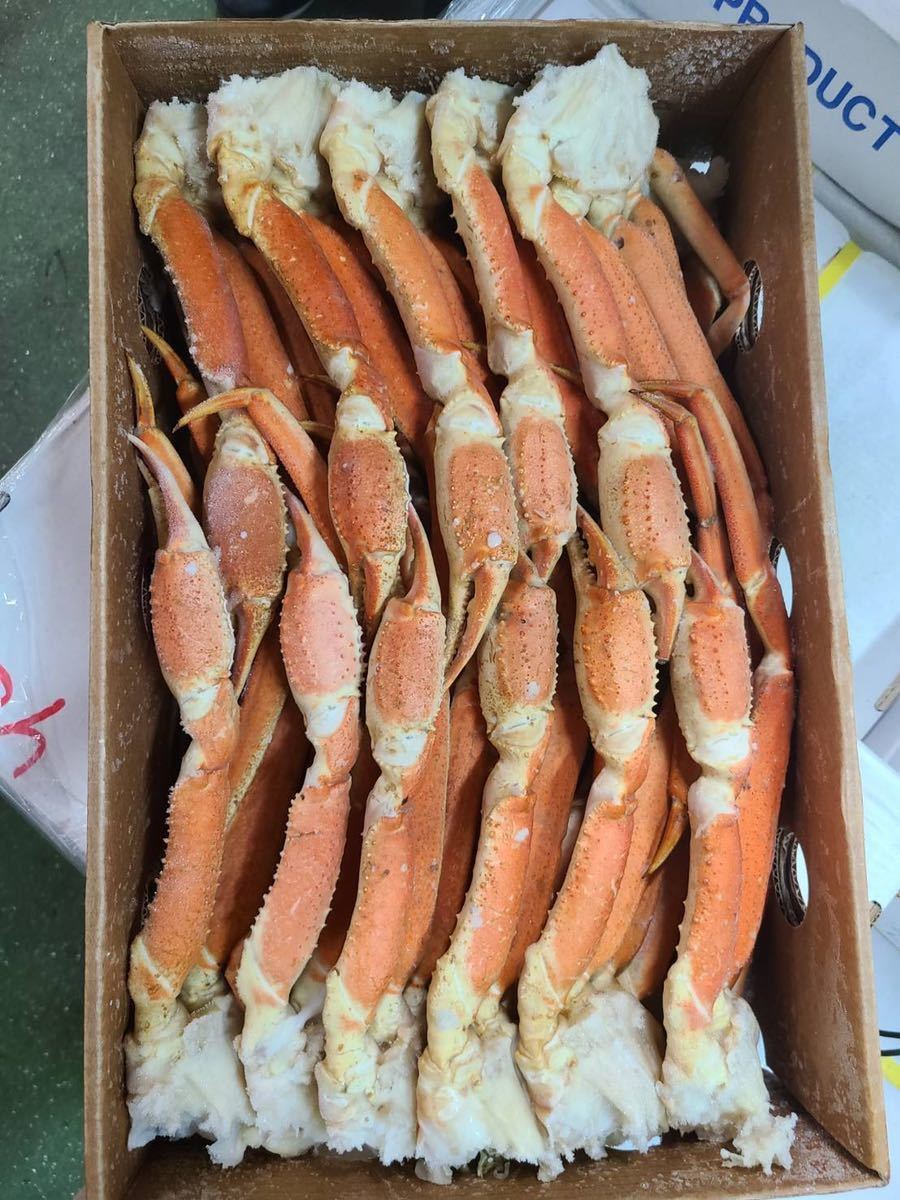 特大 ズワイガニボイル 新物 業務用 ロシア産 4L5 kg 14肩程度 冷凍