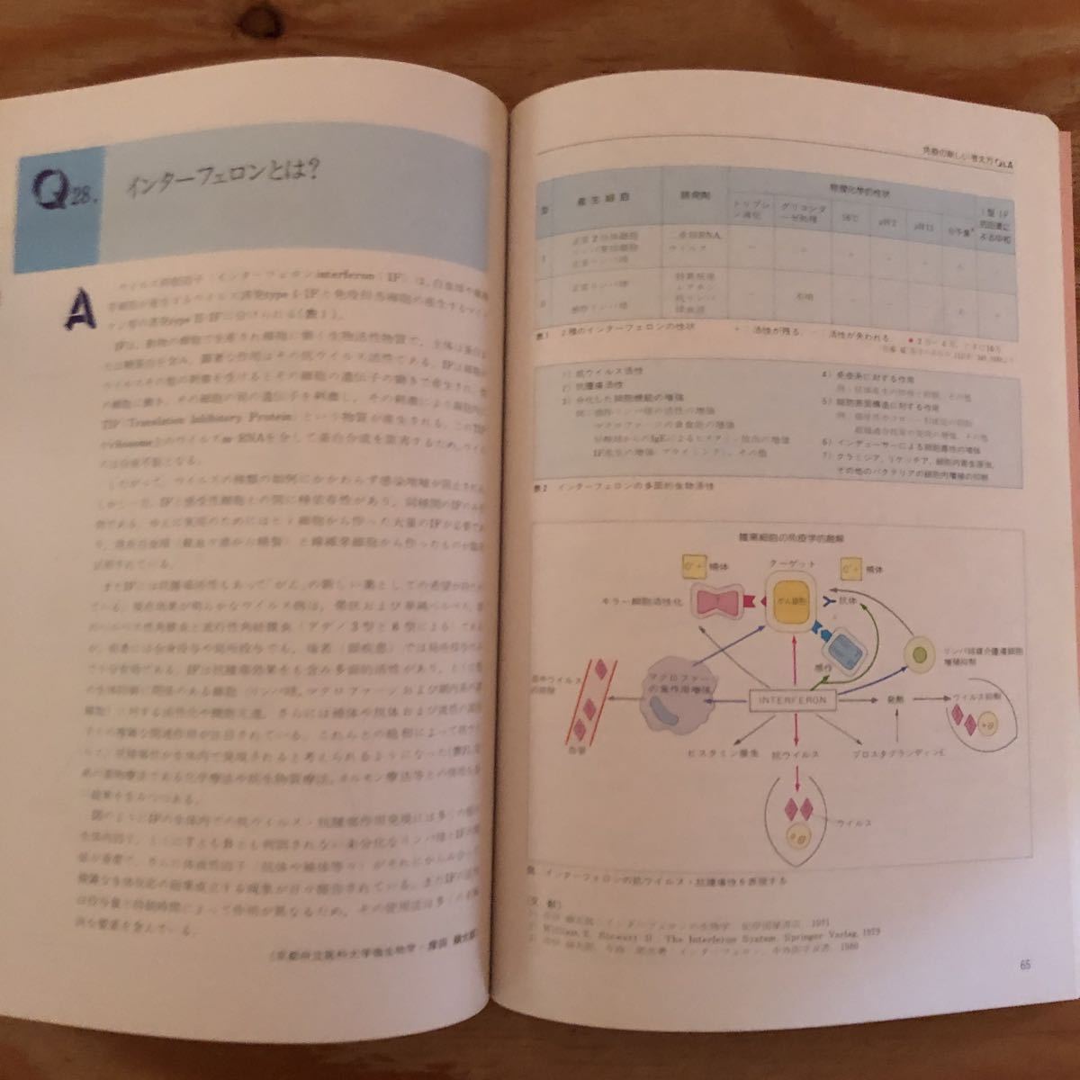 K2DD3-221018 レア［免疫の新しい考え方 Ｑ＆Ａ 第1集 松橋直］インターフェロモンとは？ HLA抗原とは？_画像5