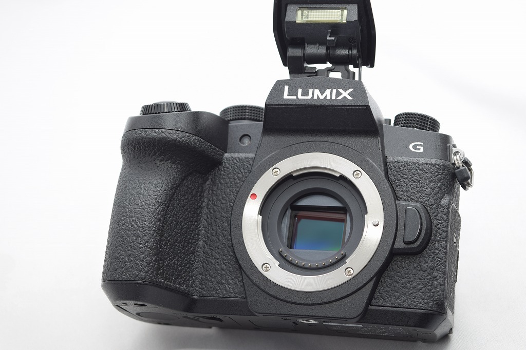 美品★Panasonic パナソニック LUMIX DC-G99 ボディ★元箱付_画像2