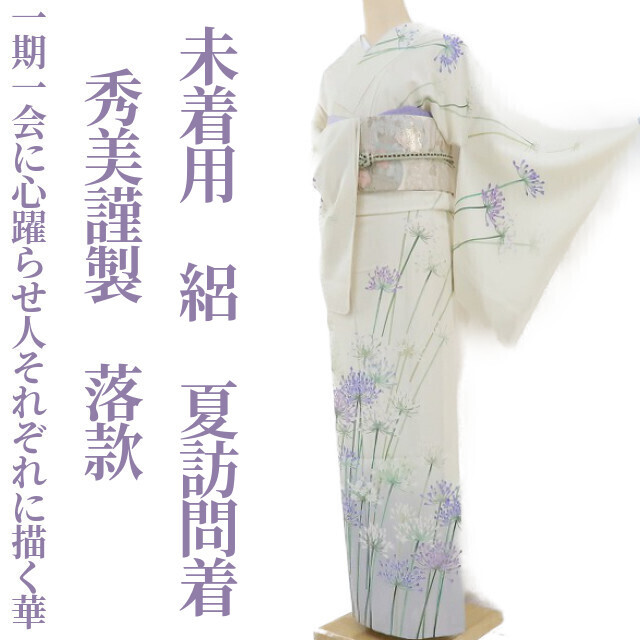 大人気新品 美品 着物 仕立て上がり レディース 女物 無地 夏用 絽
