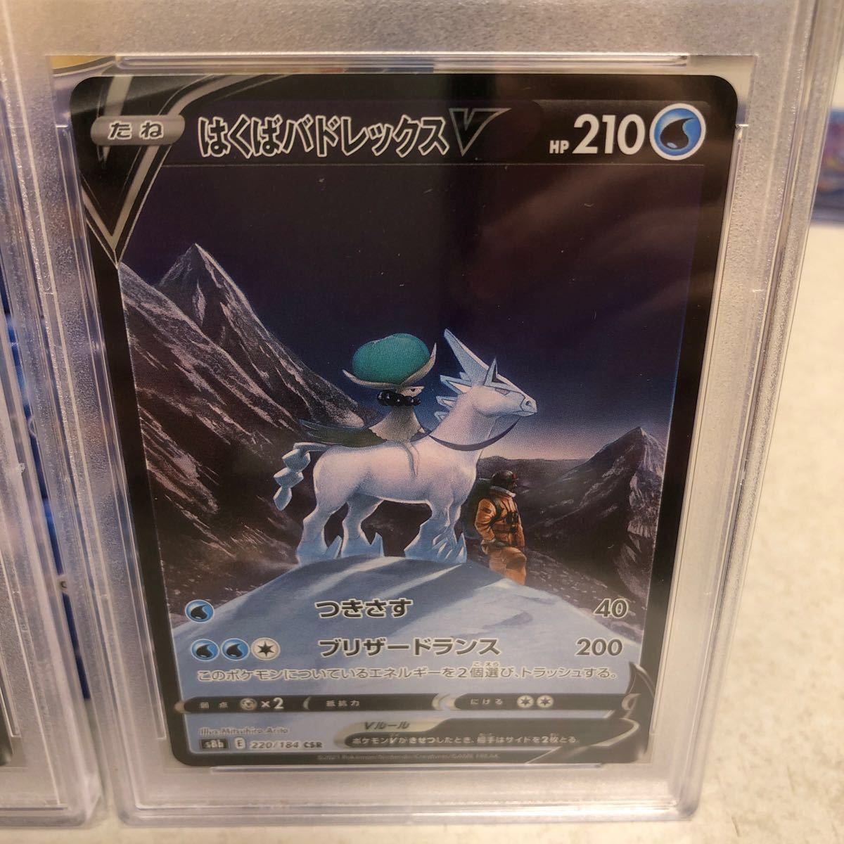 PSA10 コクババドレックスV ハクババドレックスVセット CSR PSA10 コクババドレックスV ハクババドレックスVセット CSR