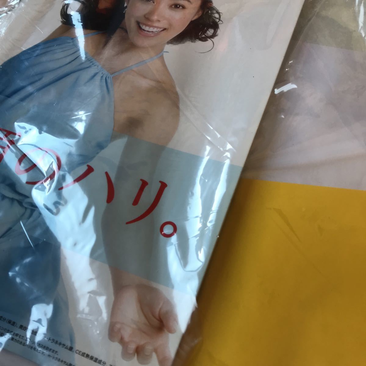 小泉今日子 キョンキョン 瀬戸朝香 吹石一恵 資生堂エリクシール ポップ - その他 小泉今日子 キョンキョン 瀬戸朝香 吹石一恵 資生堂エリクシール ポップ - その他