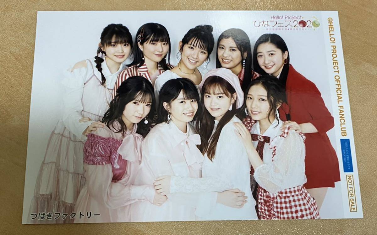 つばきファクトリー集合L判生写真 山岸理子 小片リサ 新沼希空 谷本 安住紳一郎アナ つばきファクトリー 山岸 小野田 秋山 新沼 岸本 谷本 バラ可! アイドル
