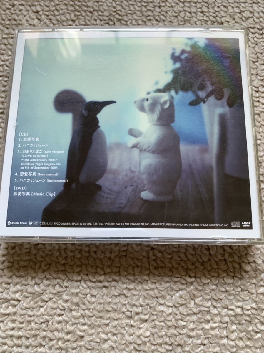 大塚愛　CD+DVD「恋愛写真_画像2