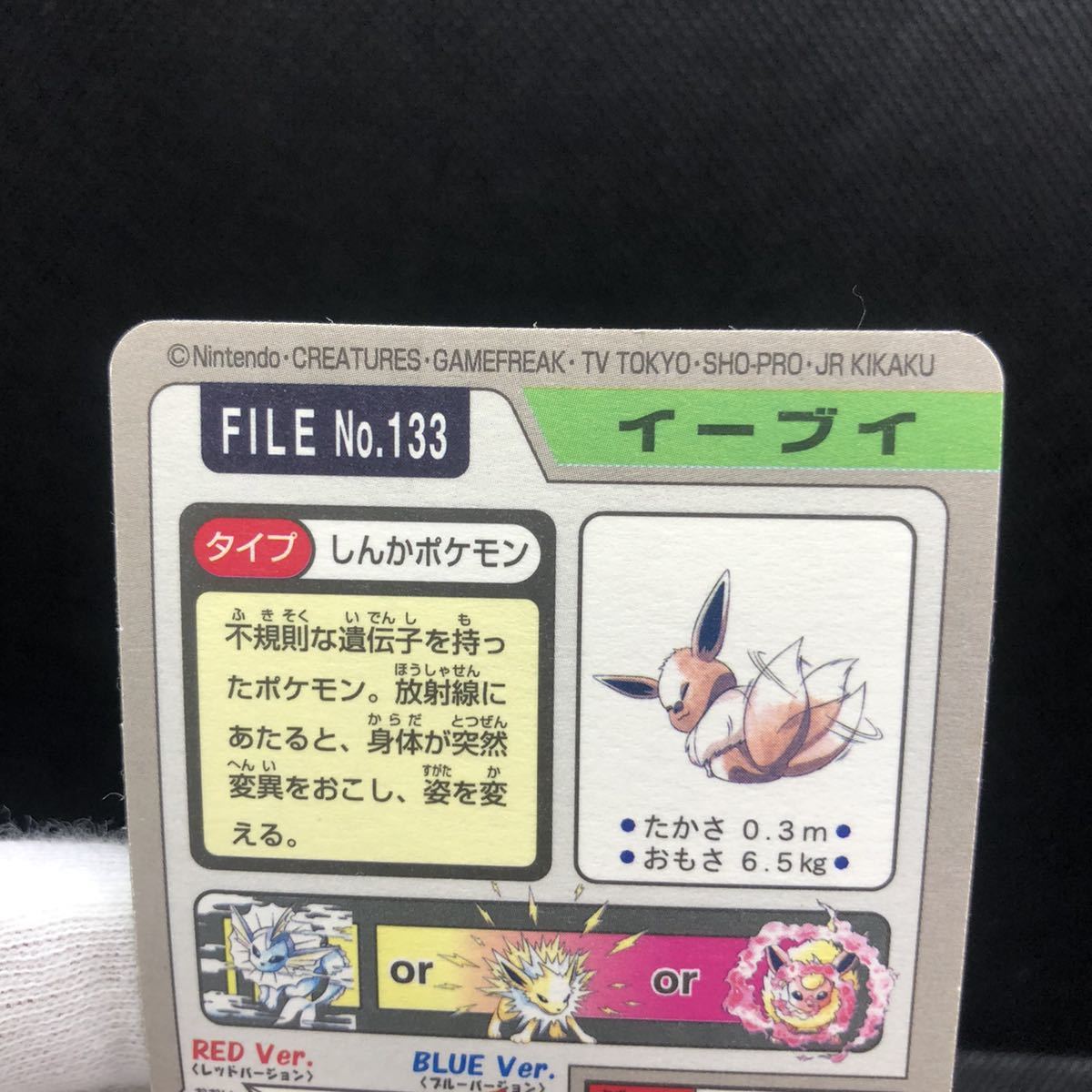 ポケモン ポケットモンスター ポケモンカードダス バンダイ ポケモン ポケットモンスター ポケモンカードダス バンダイ