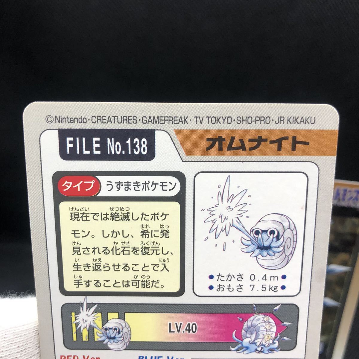 ポケモン ポケットモンスター ポケモンカードダス バンダイ