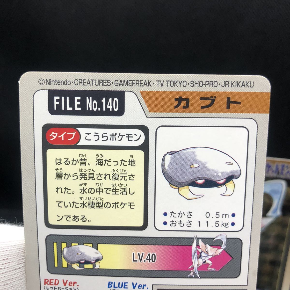 ポケモン ポケットモンスター ポケモンカードダス バンダイ ポケモン ポケットモンスター ポケモンカードダス バンダイ