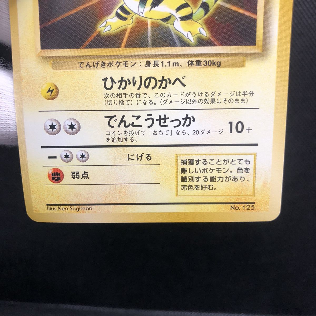ポケモンカード 旧裏 旧裏面 エレブー マークなし 初期|Yahoo ポケモンカード 旧裏 旧裏面 エレブー マークなし 初期|Yahoo