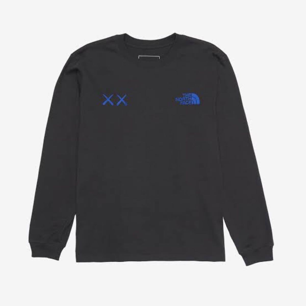 The North Face Kaws L/S Tee ザ ノース フェイス カウズ エルエス Tシャツ アスファルト グレー