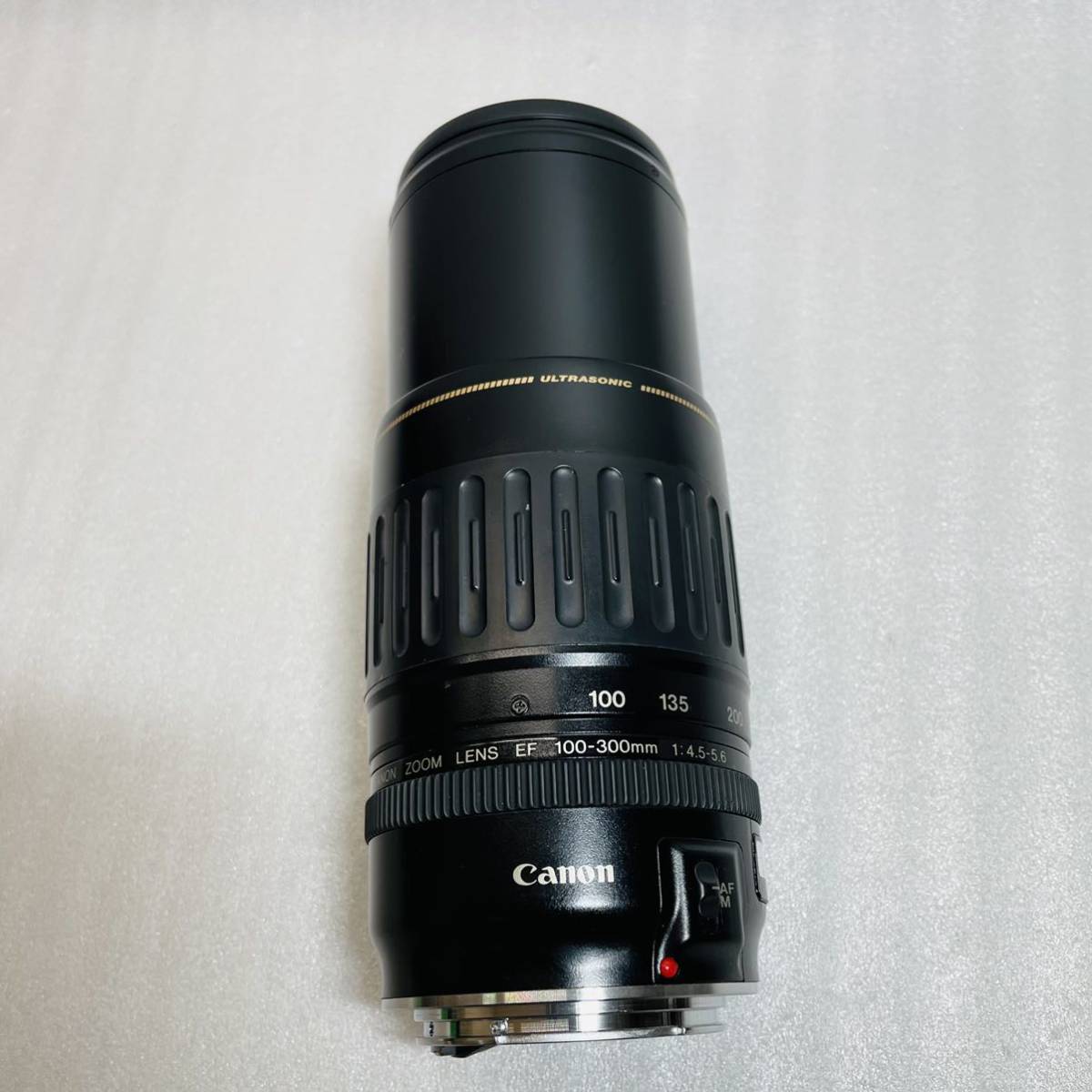キヤノン 望遠レンズ EF100-300mm Canon 想い出を300mmで！ - thepolicytimes.com