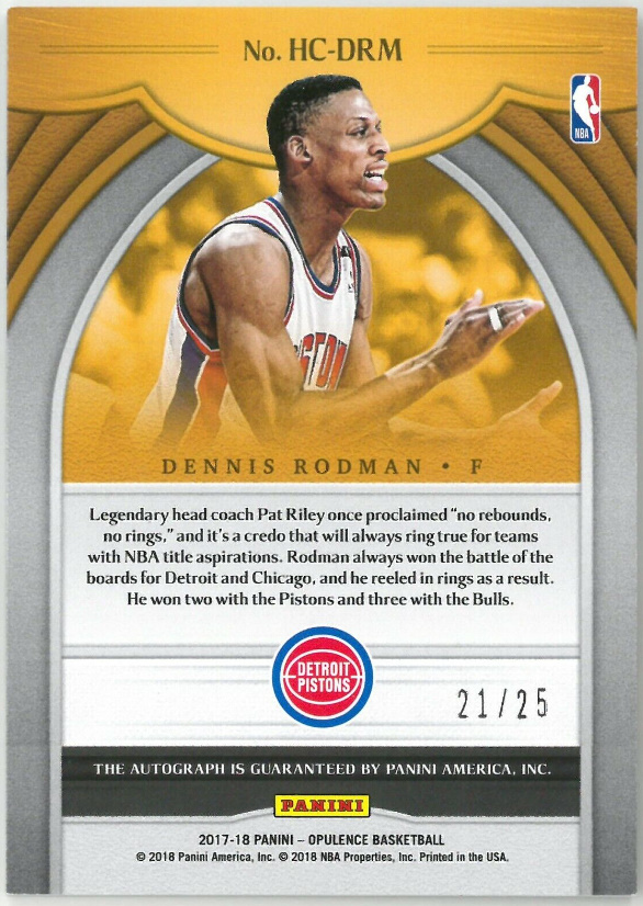 ダイゾー ナチュラル NBAトレーディングカード Dennis Rodman デニス